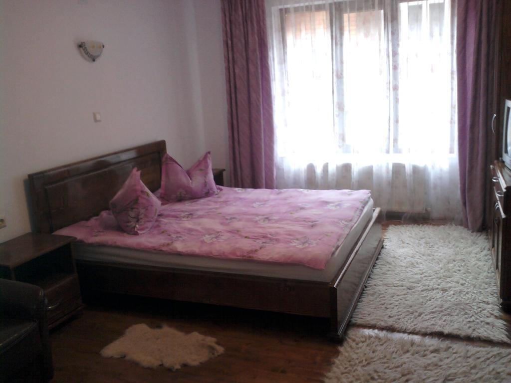Pensiunea Sofy Arieşeni Extérieur photo